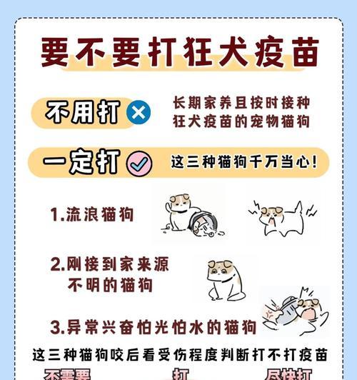 狗狗成年后需要打几次疫苗？（保护您的宠物，及时接种疫苗）