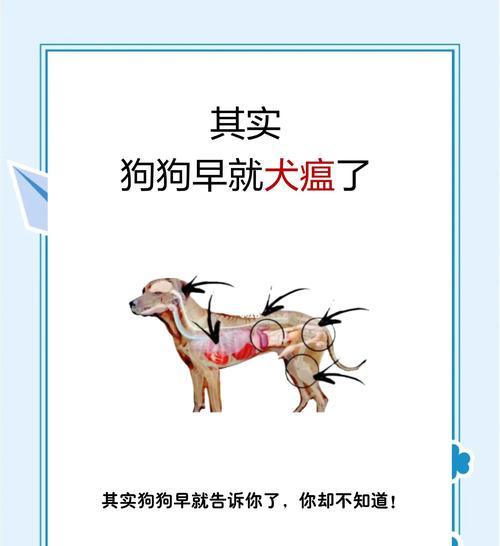 幼犬感冒急需药物治疗，注意及时识别病因（了解幼犬感冒的症状及可能的病因，寻找最有效的治疗方法）