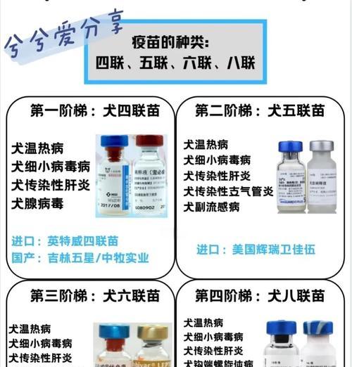狗狗疫苗抗体（探索狗狗疫苗抗体的保护期限及关键因素）