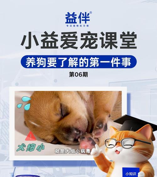犬细小病毒治疗方法及其疗效分析（多种犬细小病毒治疗方法，选择适合的方式来抵抗疾病）