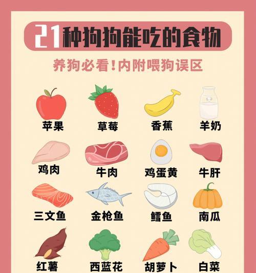 给小狗准备的健康辅食指南（了解小狗辅食的种类和食材，让它们健康成长）