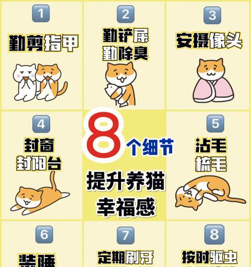 小猫猫的指甲修剪频率及注意事项（了解小猫猫指甲修剪的周期与方法，让爱宠更舒适）