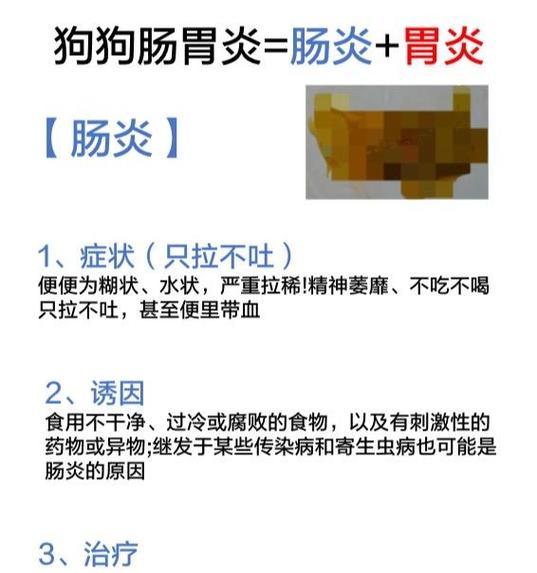狗胃肠炎的食欲恢复时间（探究狗胃肠炎患者食欲的恢复过程）