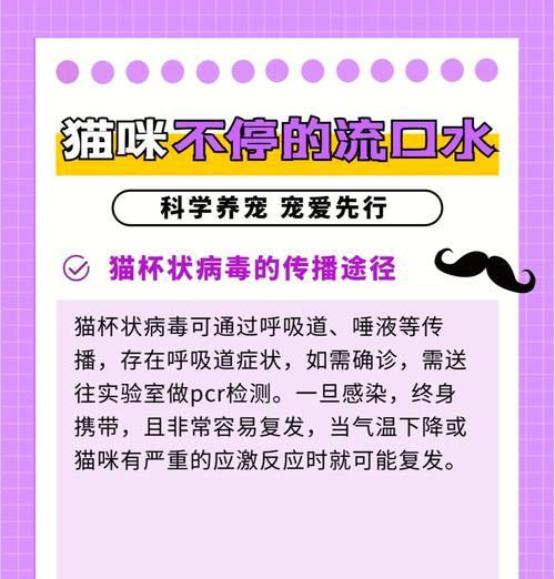 猫咪流口水和臭味的原因及处理方法（了解猫咪流口水和臭味的背后原因，让你的爱宠保持健康快乐）