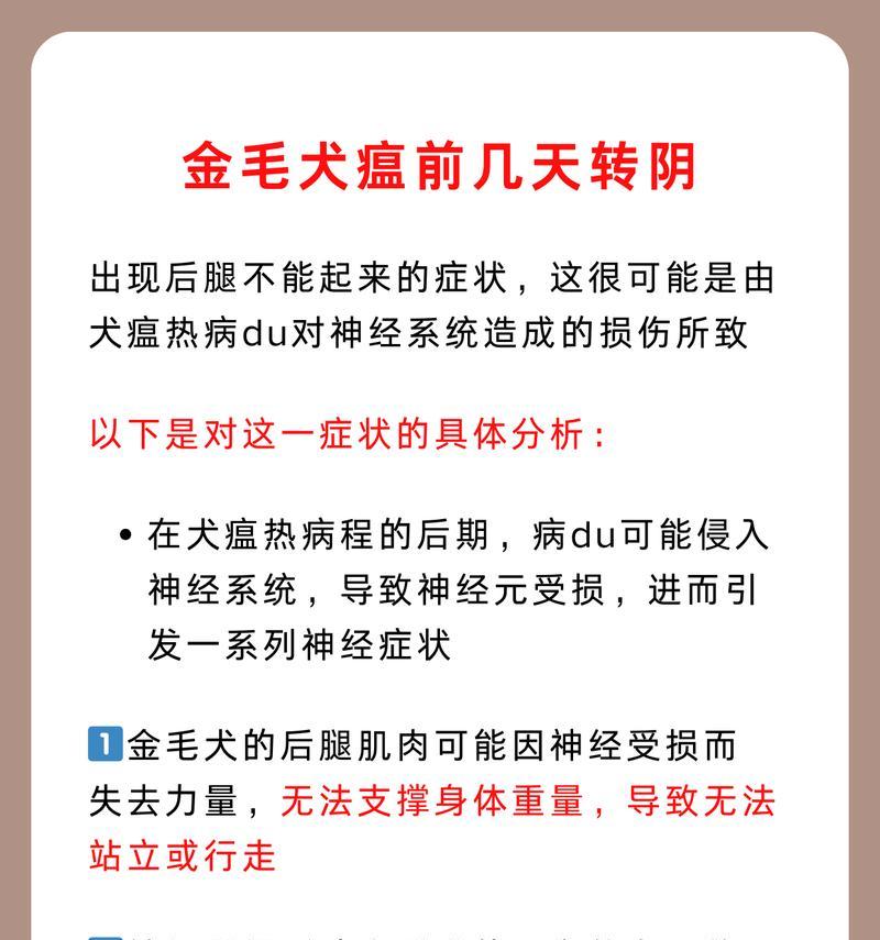 犬瘟症状能活多久？（揭秘犬瘟症状持续时间与存活率）