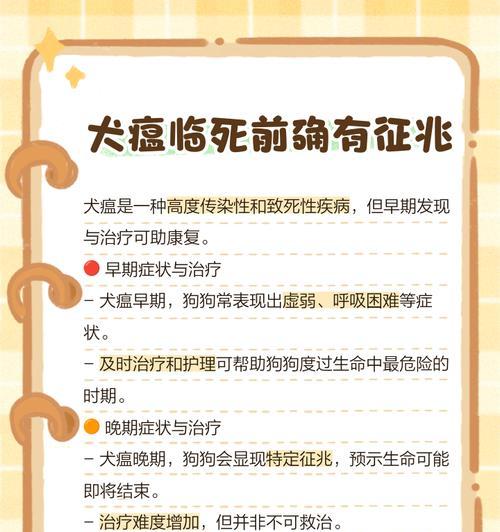 犬瘟热治疗的关键时间节点（了解犬瘟热治疗过程中的关键时刻）