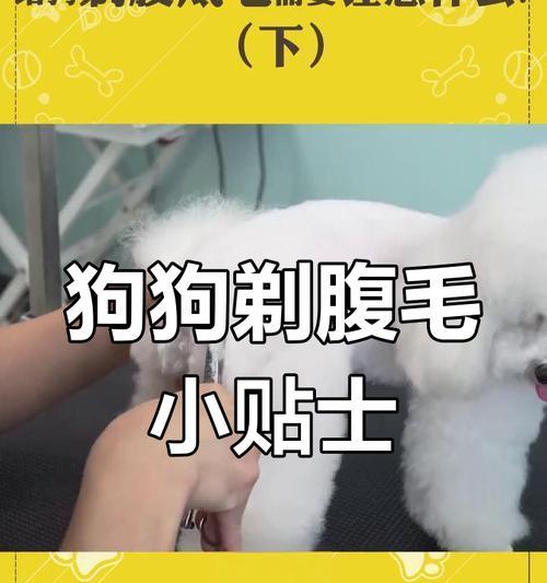 给狗狗剃光毛发的危害及适合剃毛的情况（了解为何剃狗狗毛发有风险以及剃毛的适当时机）
