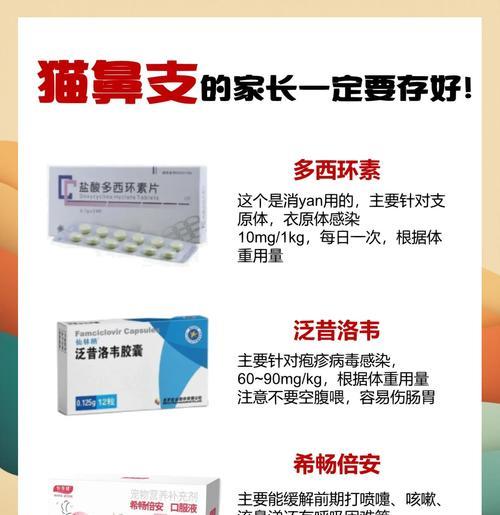 猫鼻支化验项目的应用与重要性（探讨猫鼻支化验的临床价值和应用前景）