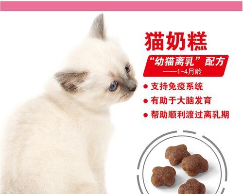 宠物狗奶糕的食用时长研究（探索宠物狗奶糕的最佳食用时长）