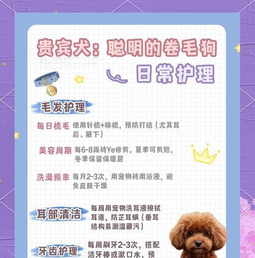 贵宾狗的洗澡频率是多久合适？（解读贵宾狗洗澡频率的科学依据）