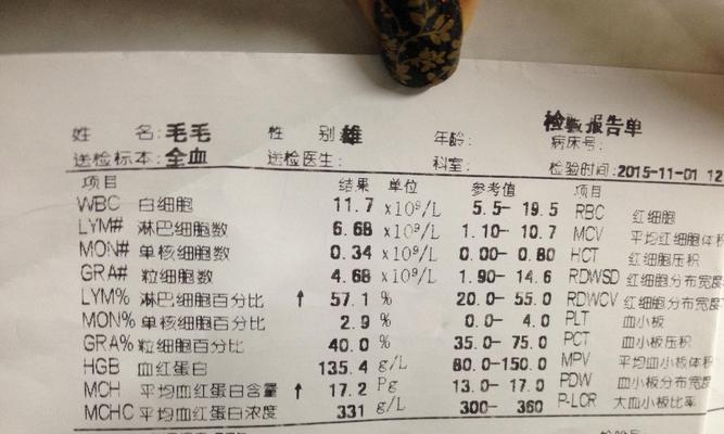 萌爪医生回复速度分析（探究以萌爪医生多久回复的时间特点及优化建议）