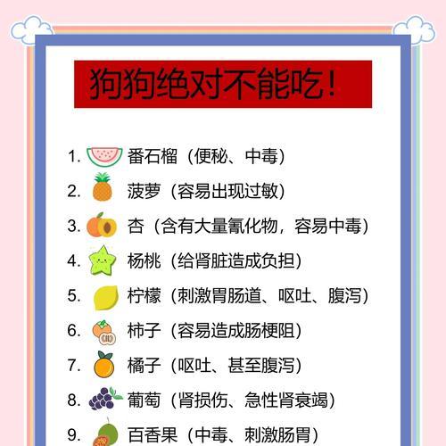 喂食对狗狗五脏有好处的食物（提高狗狗身体健康的食品推荐）