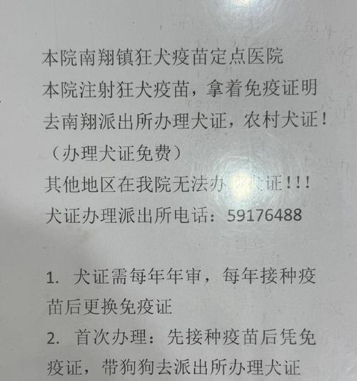 办理狗证所需证件及步骤（了解狗证申请所需的证件和办理步骤）