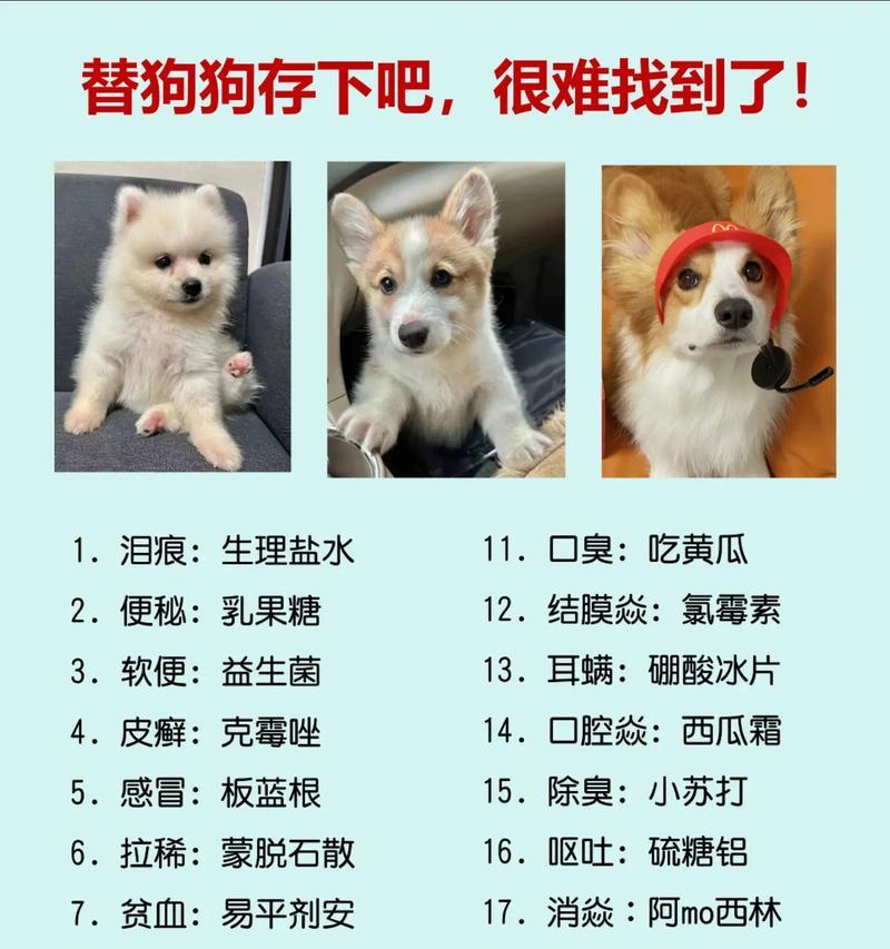 狗狗溶血性贫血（了解溶血性贫血，保护我们的毛茸茸好朋友）