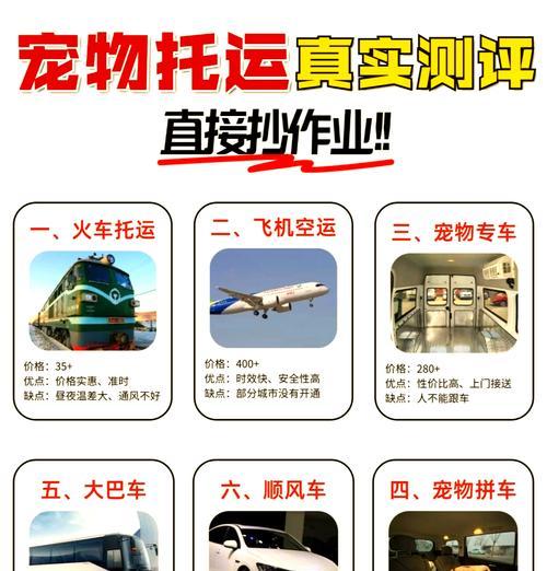 托运宠物回家后的正确饲养——打造快乐健康的宠物生活（让你的宠物在新环境中适应并健康成长）