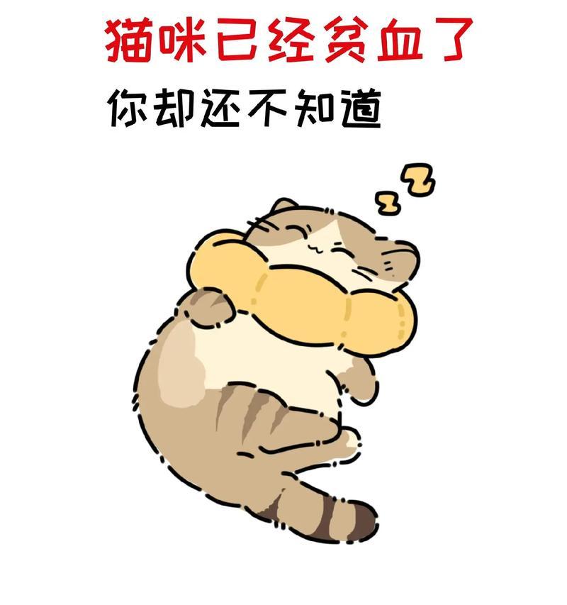 如何快速识别猫咪是否生病（五种方法帮助你保持猫咪的健康）
