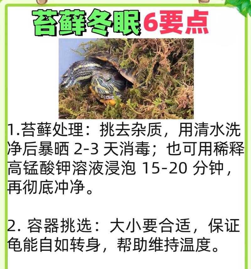 乌龟怕热吗？乌龟中暑了应该如何处理？（了解乌龟的热敏性及应对中暑的方法）