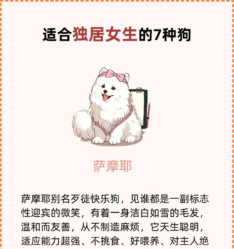 与家人共享的几种不拆家狗（选择一只适合家庭生活的狗，让每个人都能分享快乐）