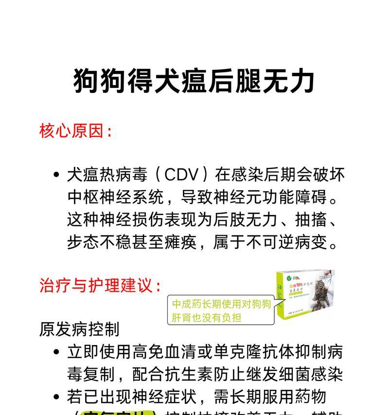 狗瘟的康复过程及时间要求（了解狗瘟的治疗时间和关键因素）