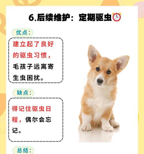 狗狗打虫后多久可以进食？（疫苗接种和饮食规划是关键）