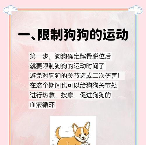如何判断狗狗是否已经打了疫苗（宠物医生教你3个简便方法，轻松判断狗狗是否接种过疫苗）