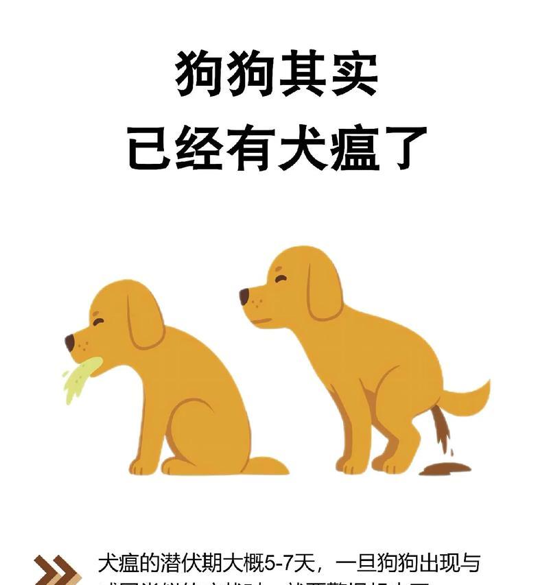 犬瘟病症状及预防措施（详解犬瘟病的症状及防治方法）