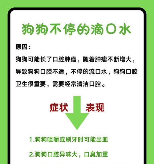 狗狗吃狗粮不嚼直接吞，如何解决？（保证狗狗健康的关键在于正确的喂养方式）