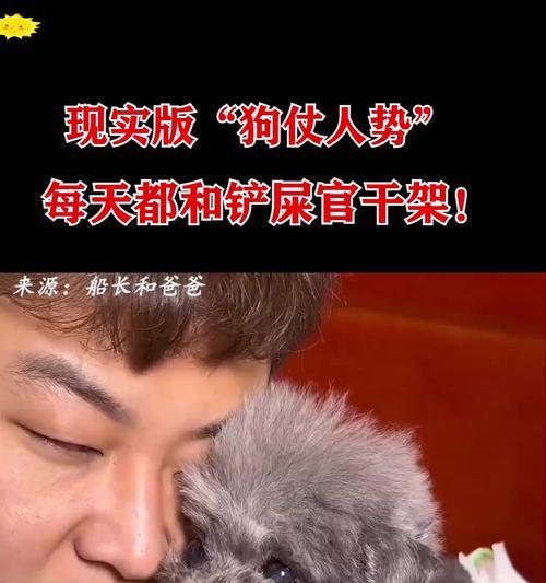 泰迪小狗的成长里程碑——走路和张眼睛的时刻（泰迪小狗的早期发展关键节点及特点）