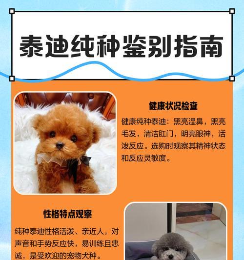 泰迪狗体外驱虫的频率及注意事项（科学护理泰迪狗，合理设定体外驱虫周期）