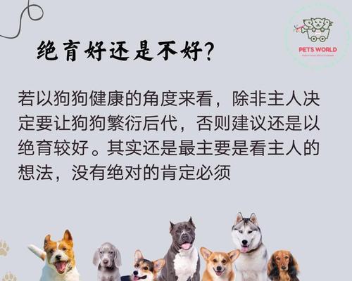 绝育后的狗狗需要多久的散步时间？（探究绝育后狗狗散步时间的合理安排和管理）