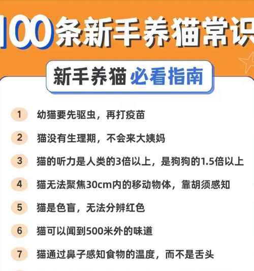 猫的生理期（揭秘猫咪的生理周期及注意事项）
