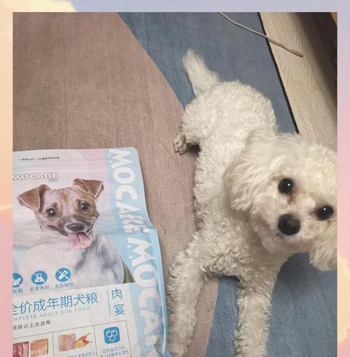 给狗狗补一补，让它更健康（探索4种天然营养品，提升狗狗的健康水平）