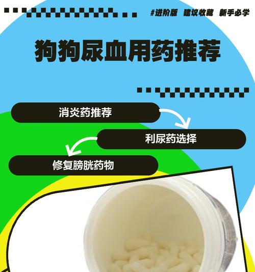 以3岁狗狗治疗消炎的药物选择（了解狗狗消炎药物种类及用途）