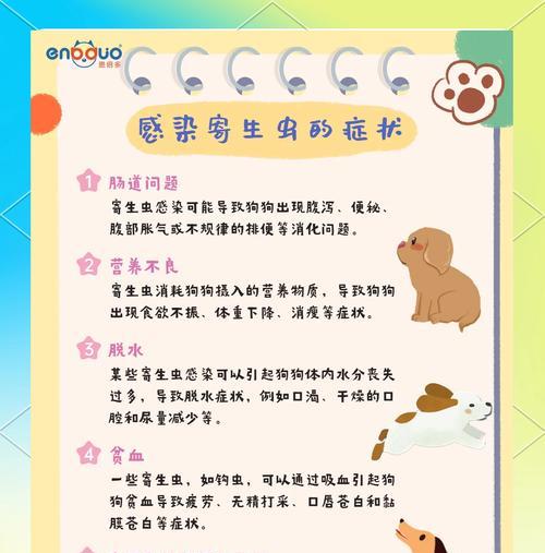 狗狗驱虫后多久可以接触其他动物？（了解正确的接触时间，保护狗狗免受寄生虫感染的侵害）