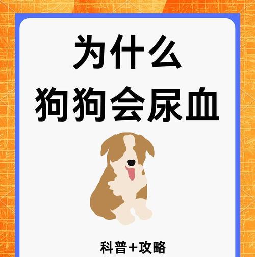 狗狗便血的原因及处理方法（盘点狗狗出现大便有血的几种情况和应对措施）