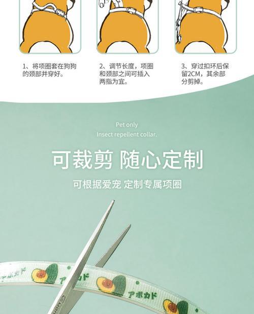狗狗药项圈的有效期有多久？（了解狗狗药项圈的使用期限及保养，让宠物更健康）