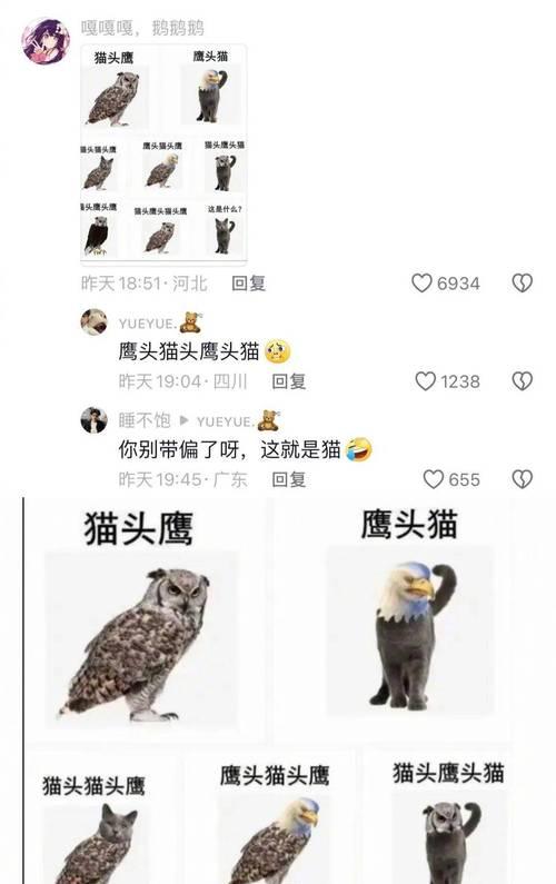 猫头鹰如何能吃老鹰？（揭秘猫头鹰成功捕食老鹰的关键）