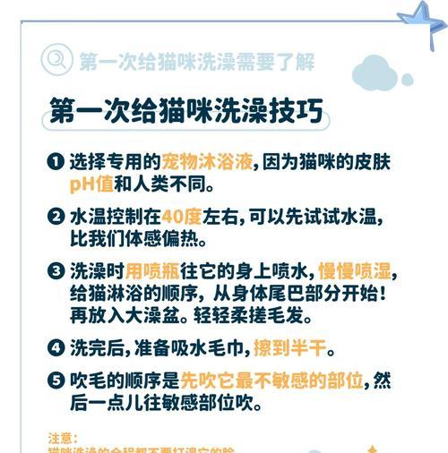 猫咪生产后多久能洗澡？（了解适时给予猫咪洗澡的建议）