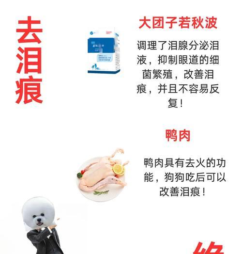如何有效调理狗狗的泪痕问题（探究泪痕问题根源，制定有效调理方案）