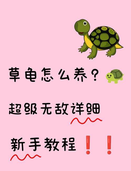 草龟的生长速度与期望寿命（从孵化到达8cm需要多少时间？生长速度影响草龟寿命的关键）
