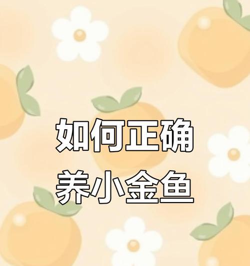 金鱼养殖（探索金鱼养殖中的换水频率和注意事项）