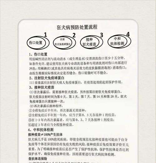 猫咬了打针需要多久？（了解猫咬伤后打针的时间和过程）