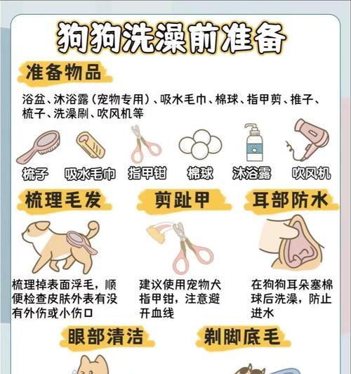 狗狗洗澡的水温过高的危害及适宜水温（小心！狗狗洗澡时水温太高可能会对其造成以下危害）