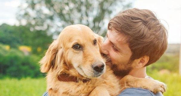 了解不同类型的服务犬（探索服务犬世界，了解不同类型及其功能）