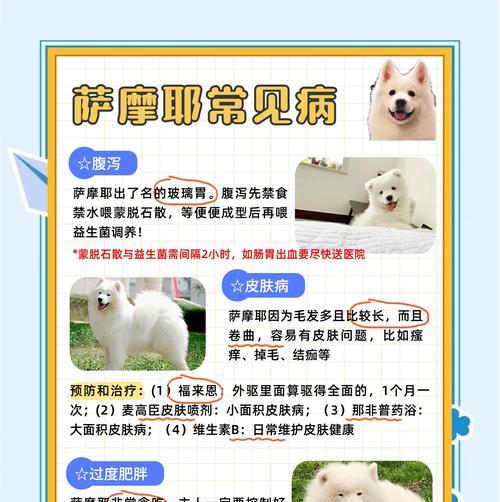 伤害萨摩耶犬的饲养方式（不当行为对萨摩耶犬健康的伤害与预防措施）