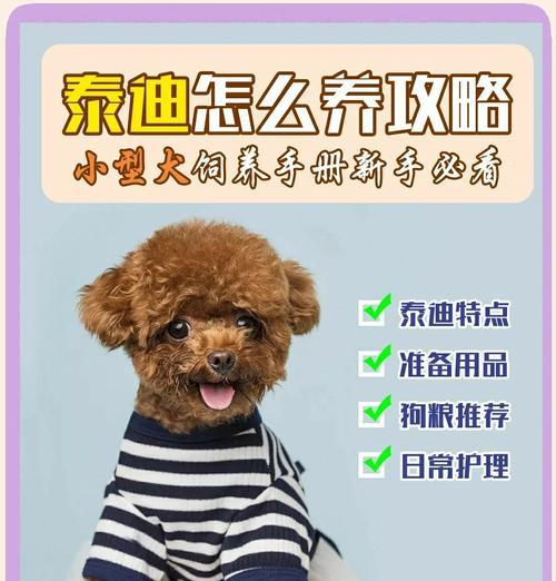 泰迪犬毛发修剪指南（定期修理泰迪犬的毛发，打造可爱造型）