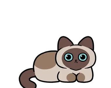 揭秘猫咪的睡姿（解读猫咪常见的四种睡姿，了解它们的真正含义）