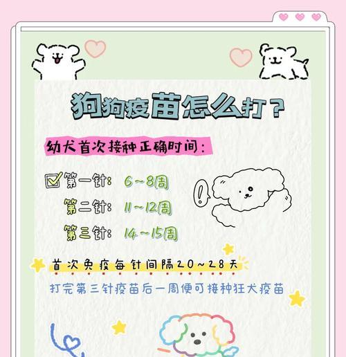狗疫苗（了解狗疫苗打针时间和注意事项）