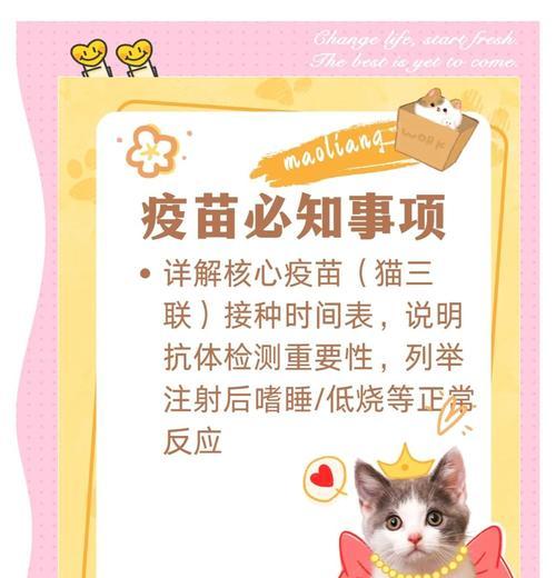 养猫必备的育苗知识（宠物猫育苗的重要性及注意事项）