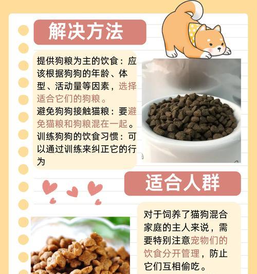 宠物养护（保护你的幼犬，远离这些食物危险！）